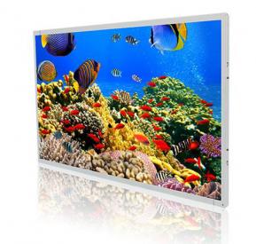 19寸高亮液晶屏